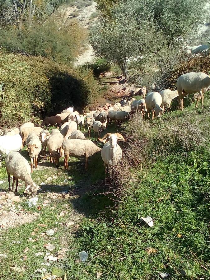 Casa En La Plaza, Hinojares - Ideal For Exploring The Area المظهر الخارجي الصورة